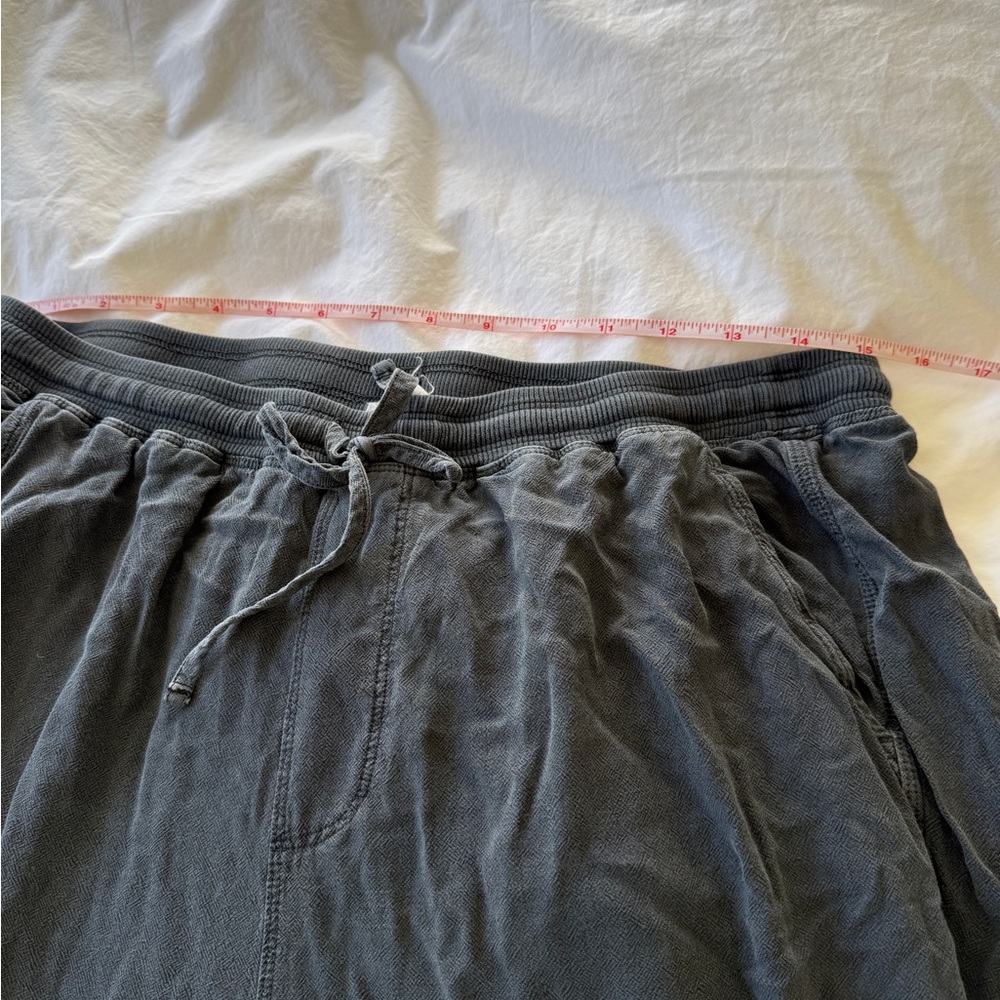 Zinnia Jogger in Charcoal by Splendid - Picture 10 of 13